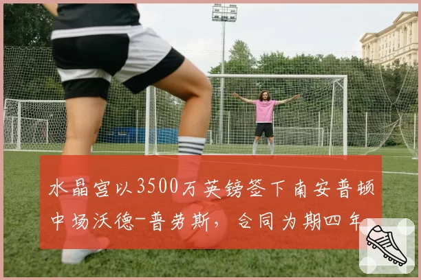 水晶宫以3500万英镑签下南安普顿中场沃德-普劳斯,合同为期四年