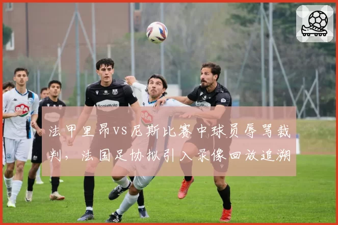 法甲里昂vs尼斯比赛中球员辱骂裁判,法国足协拟引入录像回放追溯处罚机制