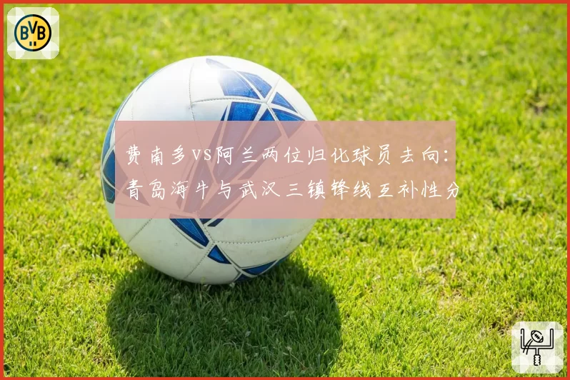 费南多vs阿兰两位归化球员去向：青岛海牛与武汉三镇锋线互补性分析