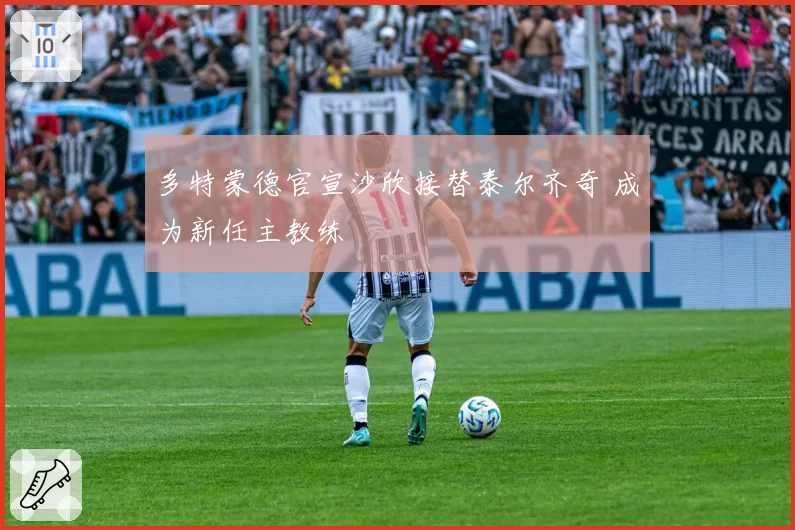多特蒙德官宣沙欣接替泰尔齐奇 成为新任主教练